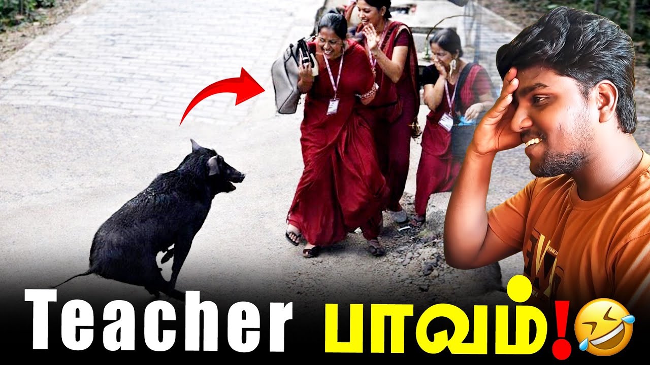 School-ல பன்றி Entry! 🐗 Teacher Shock 😂 | Tamil Comedy Reaction