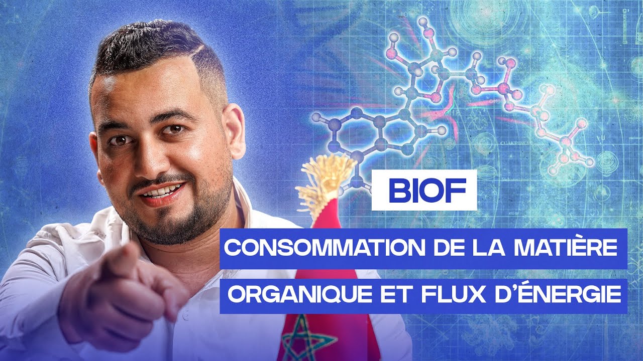 ATP BIOF partie 2 : Glycolyse 2