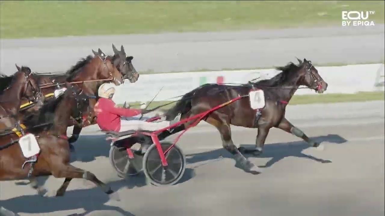 GRAN PREMIO FIRENZE (28/02/2026)
