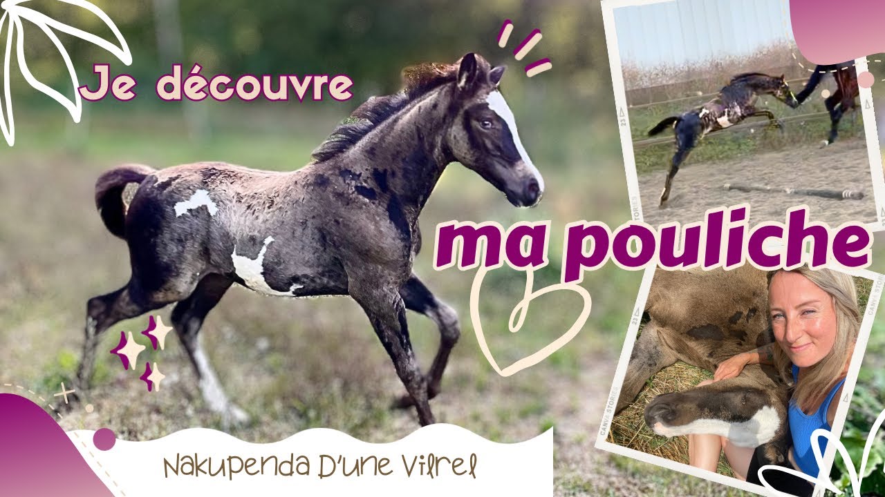 ...ET ELLE EST INCROYABLE !!! 🤩