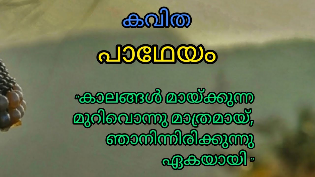 പാഥേയം | കവിത | KAVITHA | എം. എസ്. ആർ | അസിം സലിം|