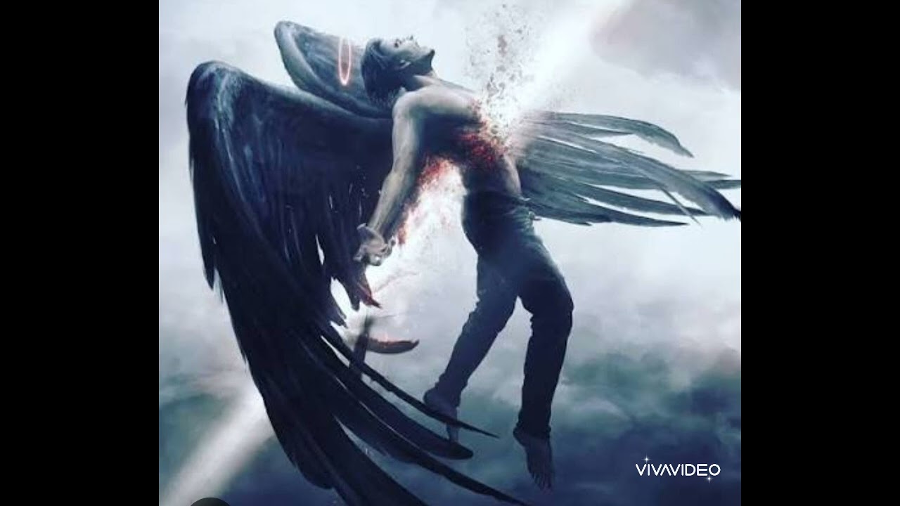 Nuca estuvimos deacuerdo ( darius Elizabeth)