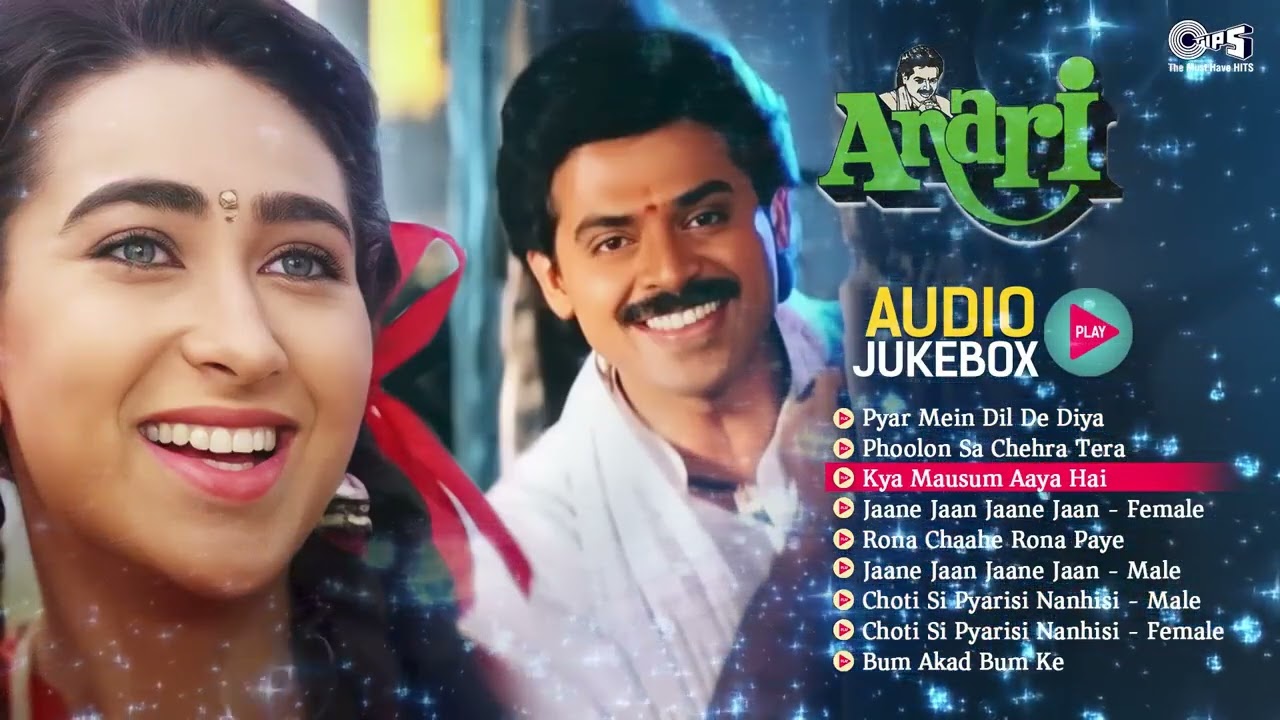 Anari (1993) Superhit Songs | Bollywood Romantic | Karisma Kapoor | Venkatesh | 90's Evergreen