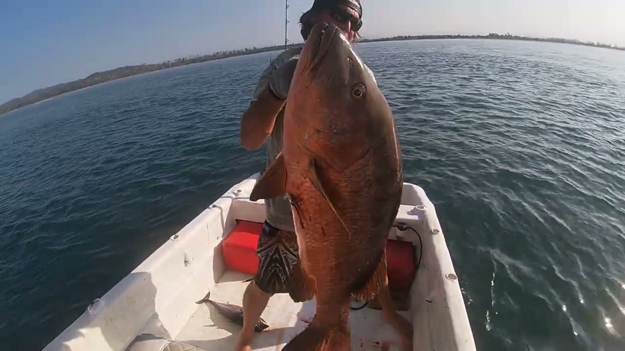 Cubera Snapper in Laguna de Chacahua