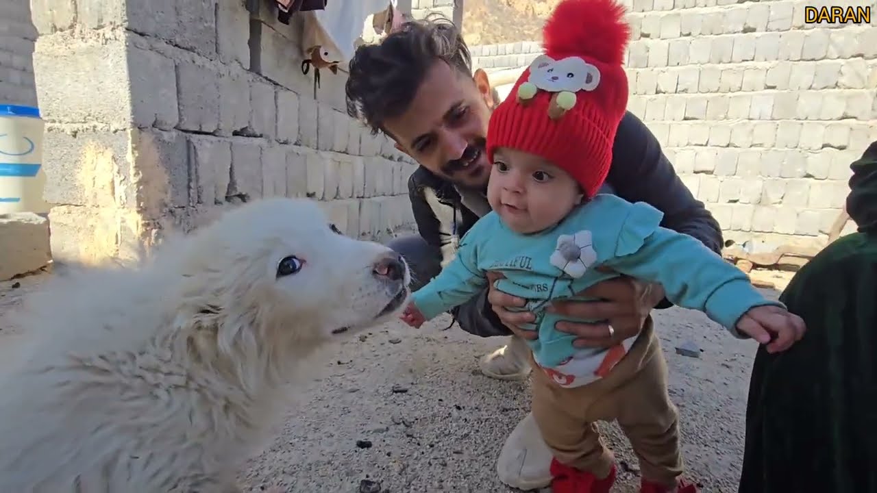⚡️ Escaping the US-Iran War: Family Reunites Around Their Baby 👶💔