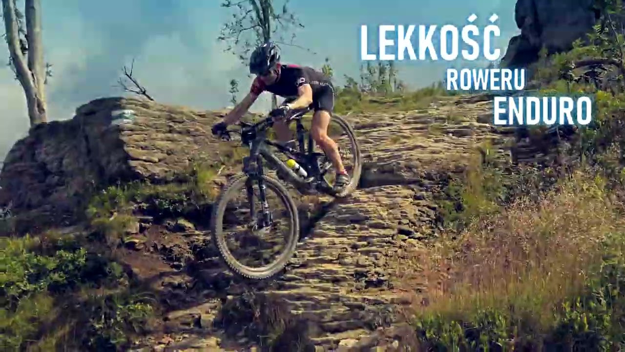 Cozmobike / Specialized / Turbo LEVO SL