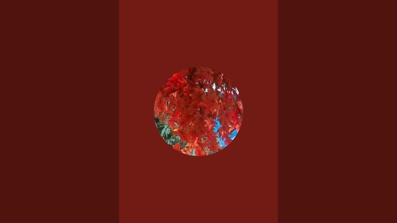 Mashallah 🤲 🤲