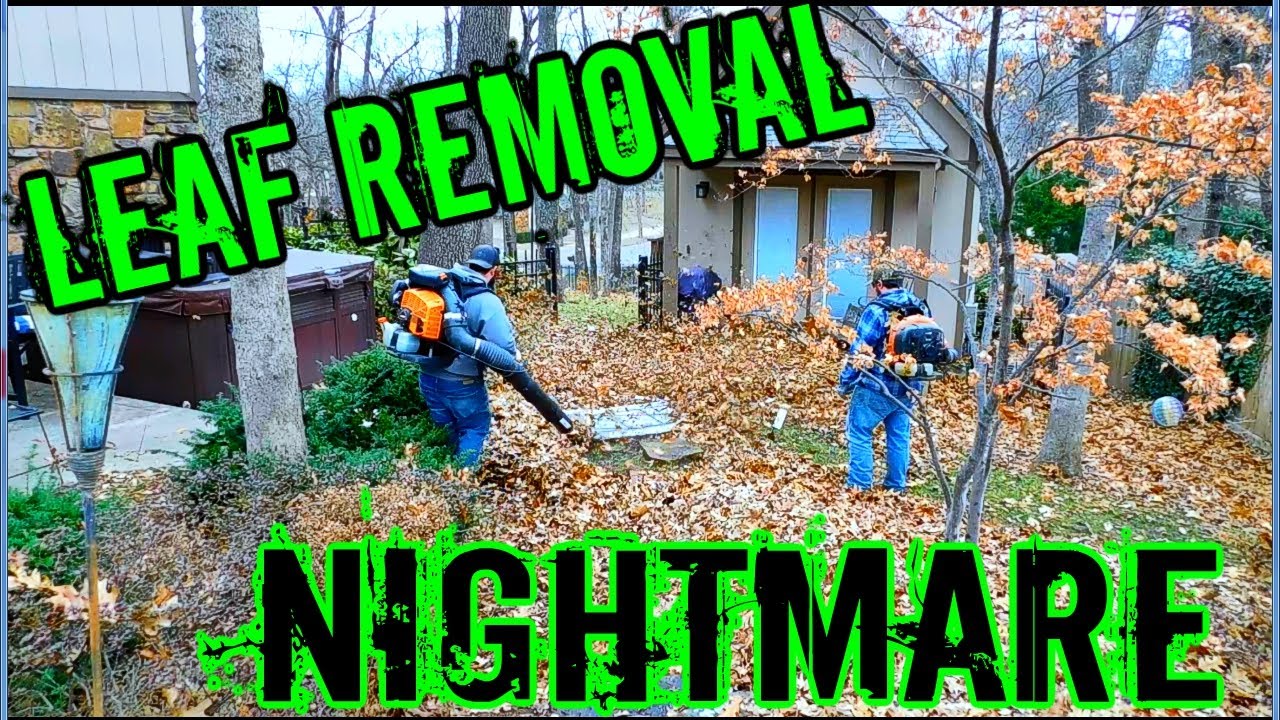 Start to Finish Large Leaf Clean up / Complained clean up cost more than house payment.. I said OK