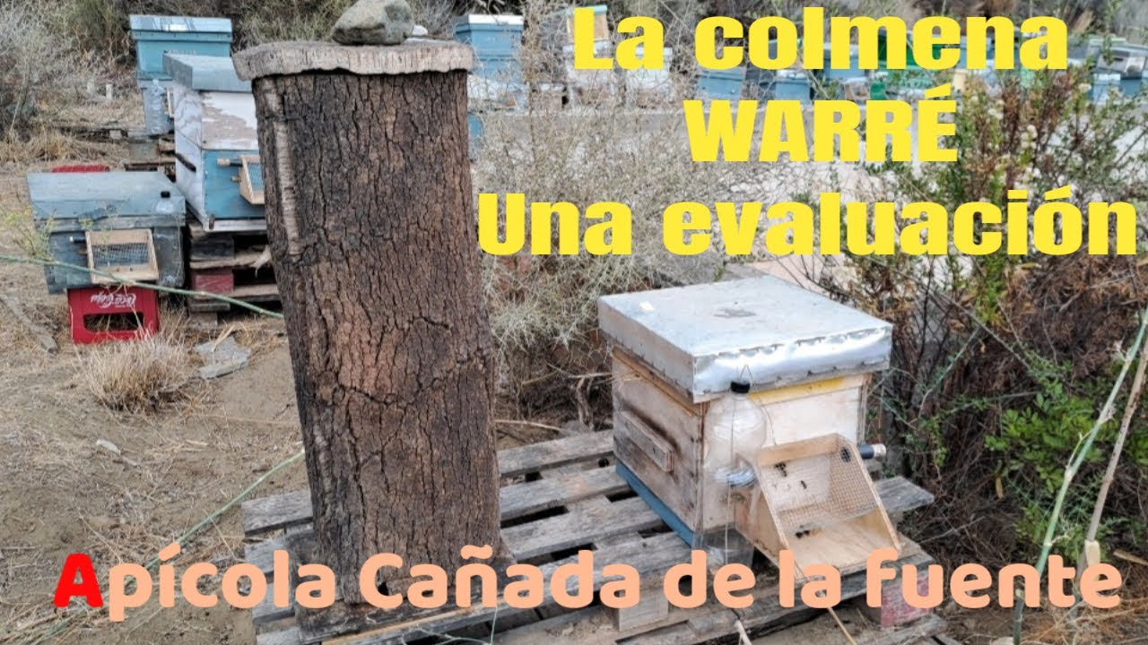La colmena WARRÉ. Una evaluación.