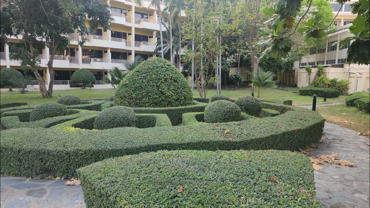 Вход с зеленью отеля Dusit Thani Паттайя 🛌🌳🌴
