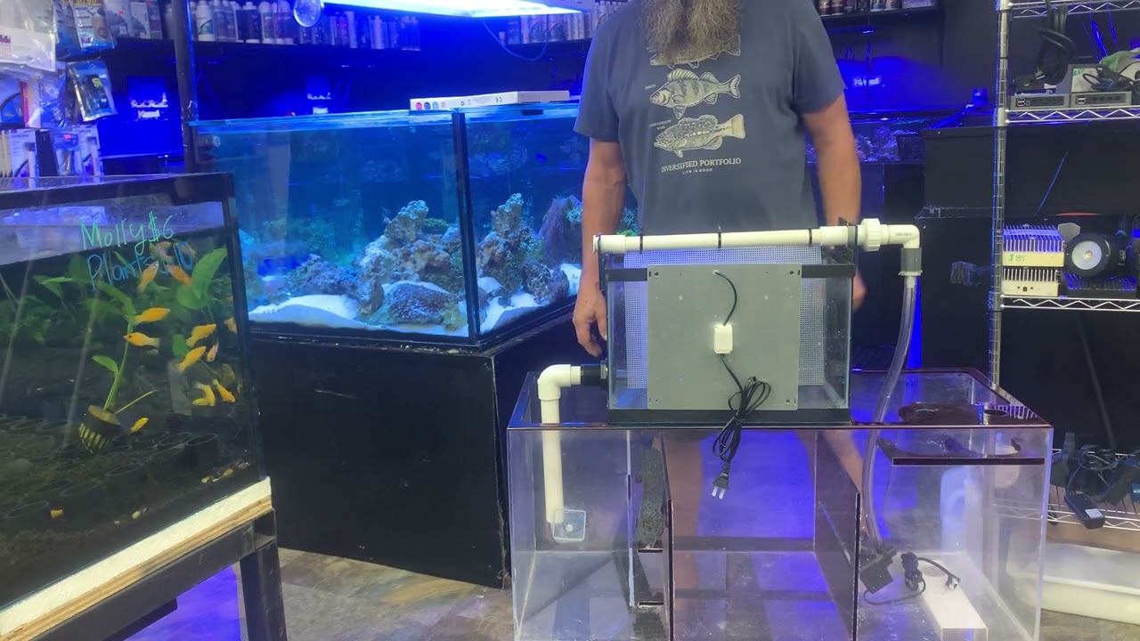 How to Build an Aquarium Algae Scrubber