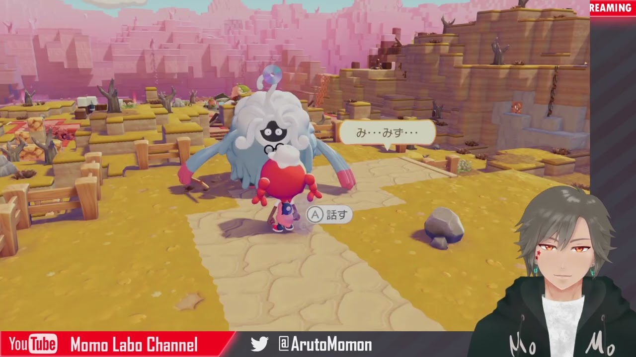 #1 スローライフを極めるぽこあポケモン【switch2 版】