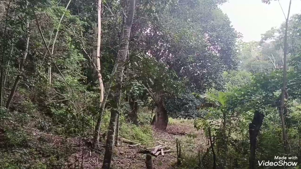 O ar que respiramos por aqui,nos favorece para uma boa saúde!