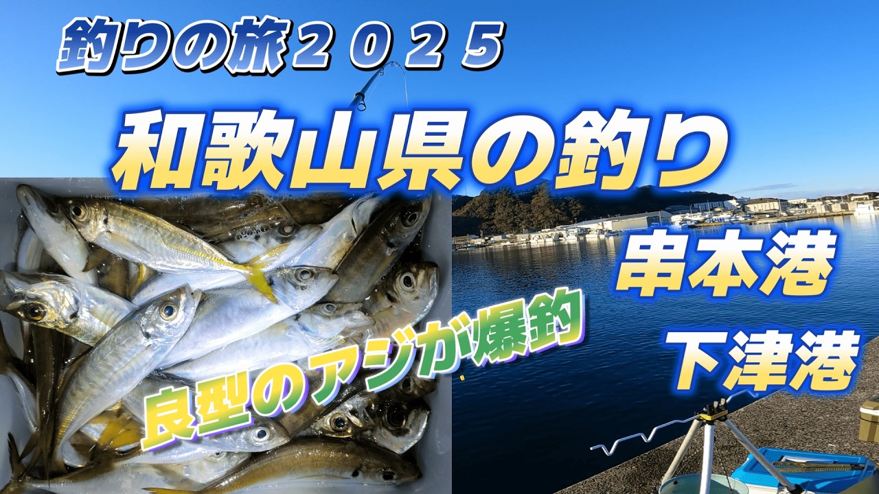 和歌山県の釣り２０２５、良型アジが爆釣「串本港・下津港」釣りの旅２０２５「キャンピングカー生活で日本全国釣りの旅」