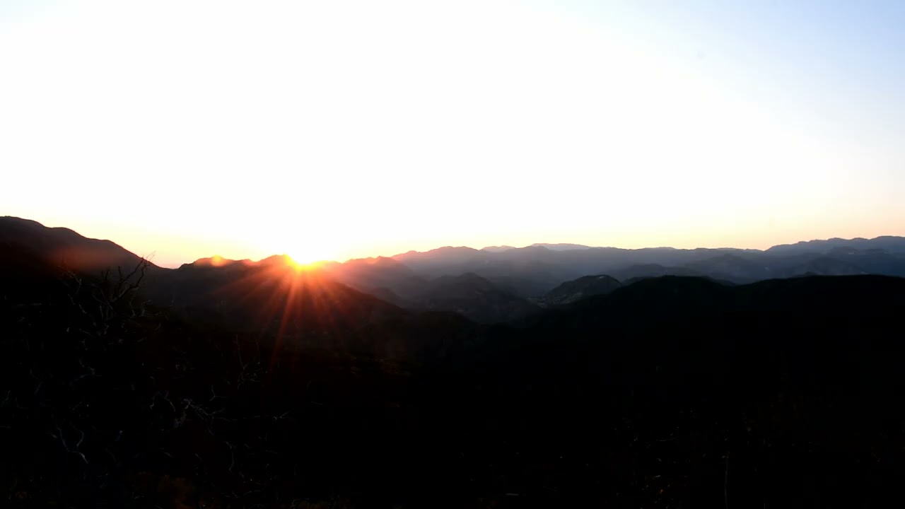 Forest Sounds - Birdsong and Crickets at Sunset - Fade to Dark  #calm #sleep #night #whitenoise