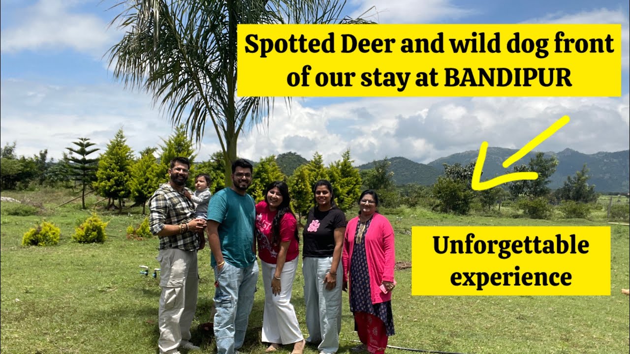 Ivy Vibes Wildlife experience during the stay | wild dogs and tiger roaring at Bandipur