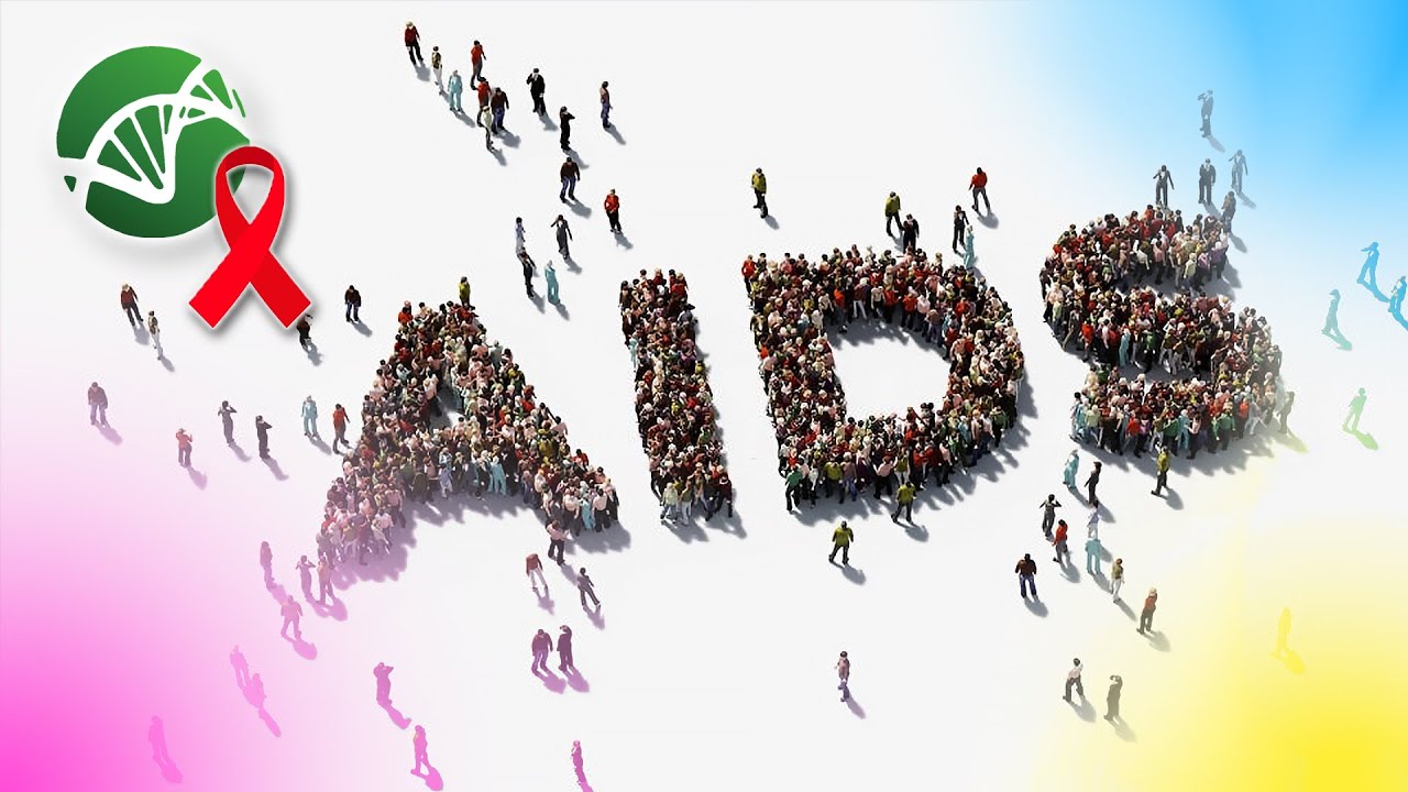 HIV e AIDS: Caratteristiche, epidemiologia e terapie | Estratto