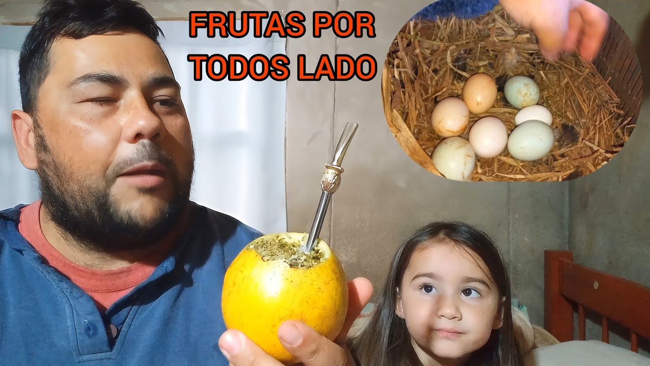 Paseo por los Frutales en la Chacra Buscando Nido de Gallinas || encontré un Conejo salvaje 