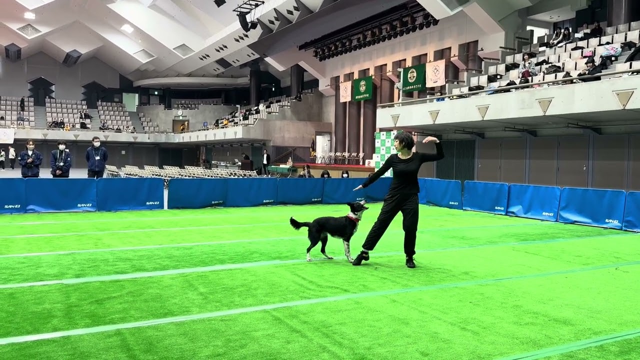 Natsumi & Loki ドッグダンスデモ 2026,2.6