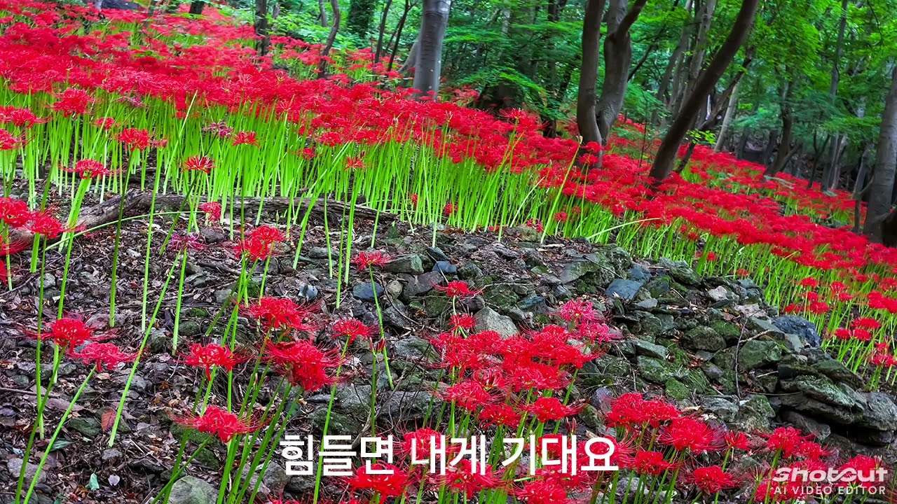 연리지 이기순오카리나연주  사진제공  임건수 