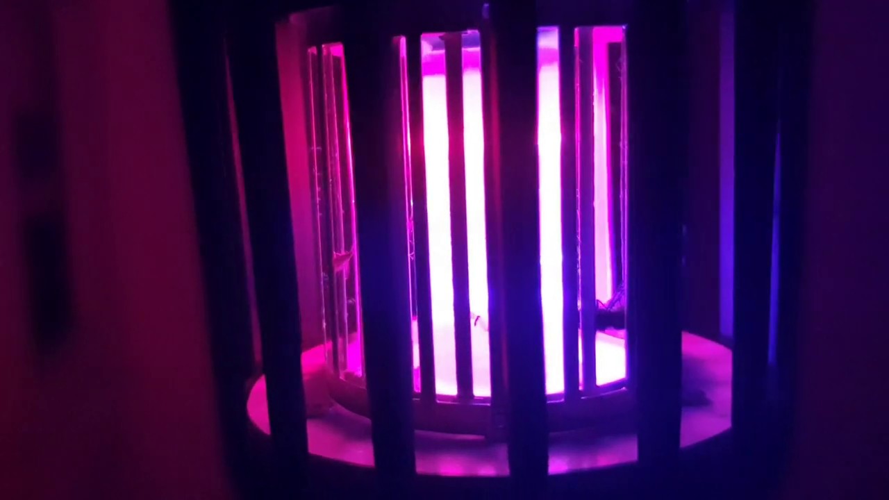 Insektenvernichter Moskito Killer Mückenfalle UV e27 Croled elektrische Fliegen Falle 600 Lumen