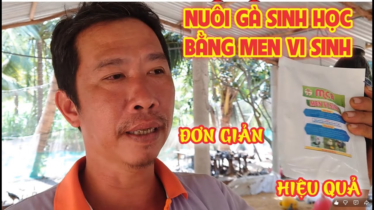 Nuôi gà sinh học bằng men vi sinh đơn giản hiệu quả