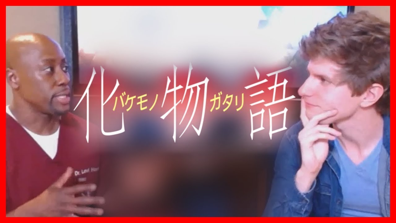 HappyStick's Interview With Dr. Levi but it's edited like the Monogatari series