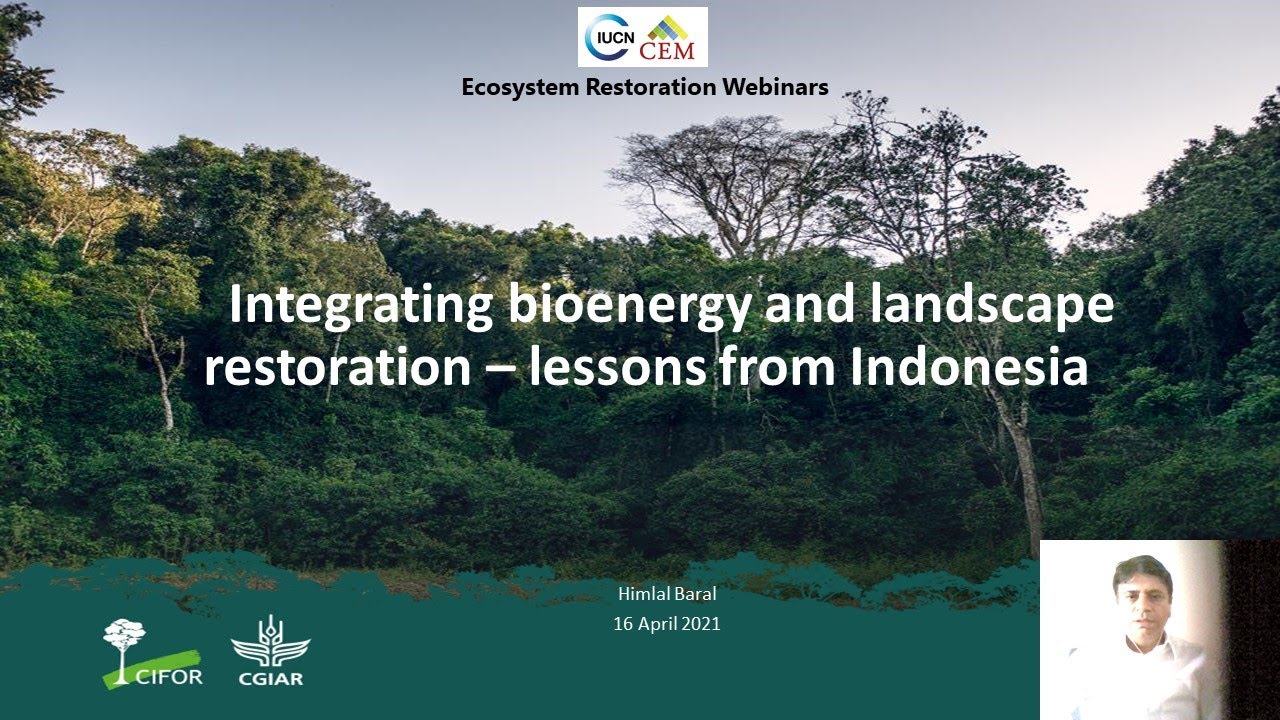 Integrating bioenergy and landscape restoration &ndash; lessons from Indonesia&nbsp;(April 2021)