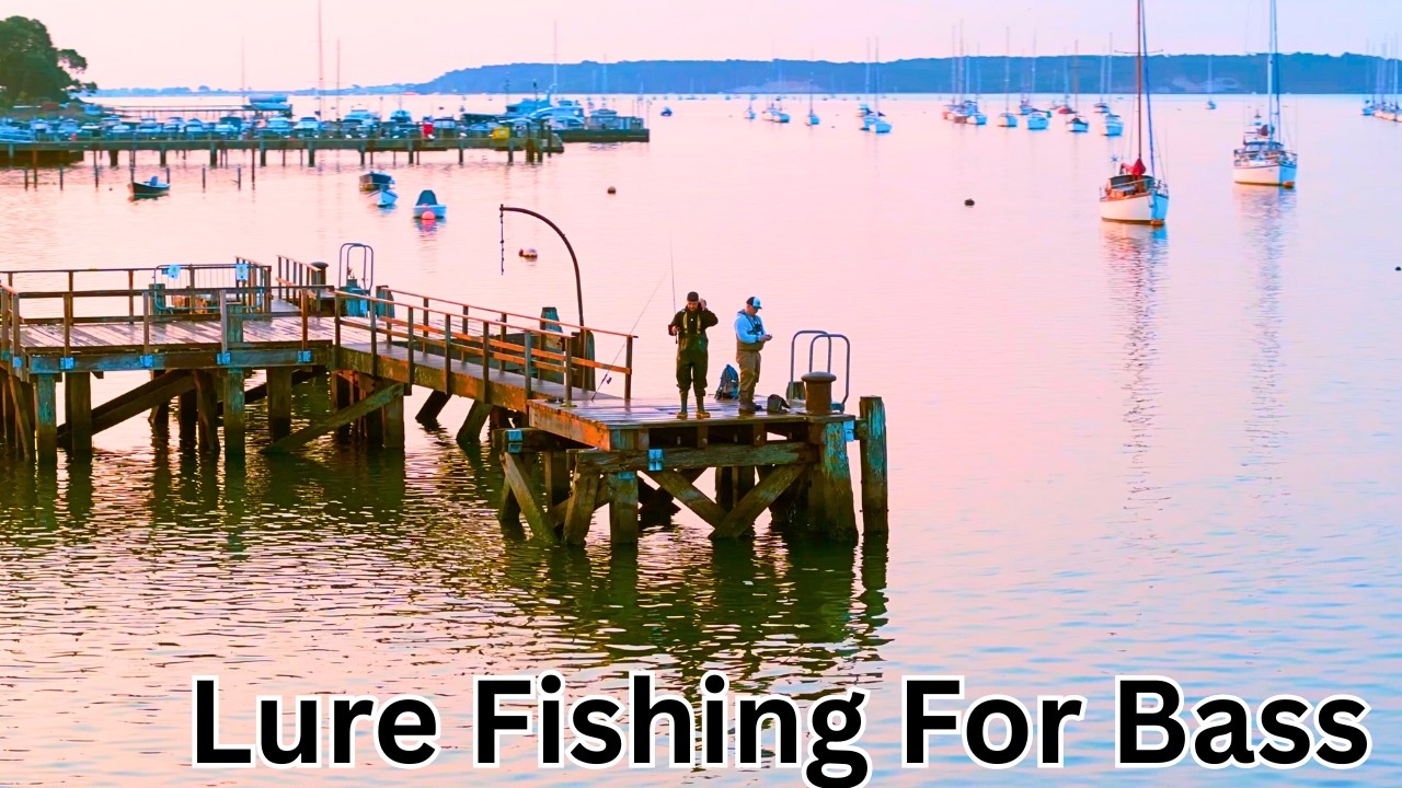 UK Lure Fishing for Bass – Poole Harbour & Sandbanks Shoreline Hotspots!