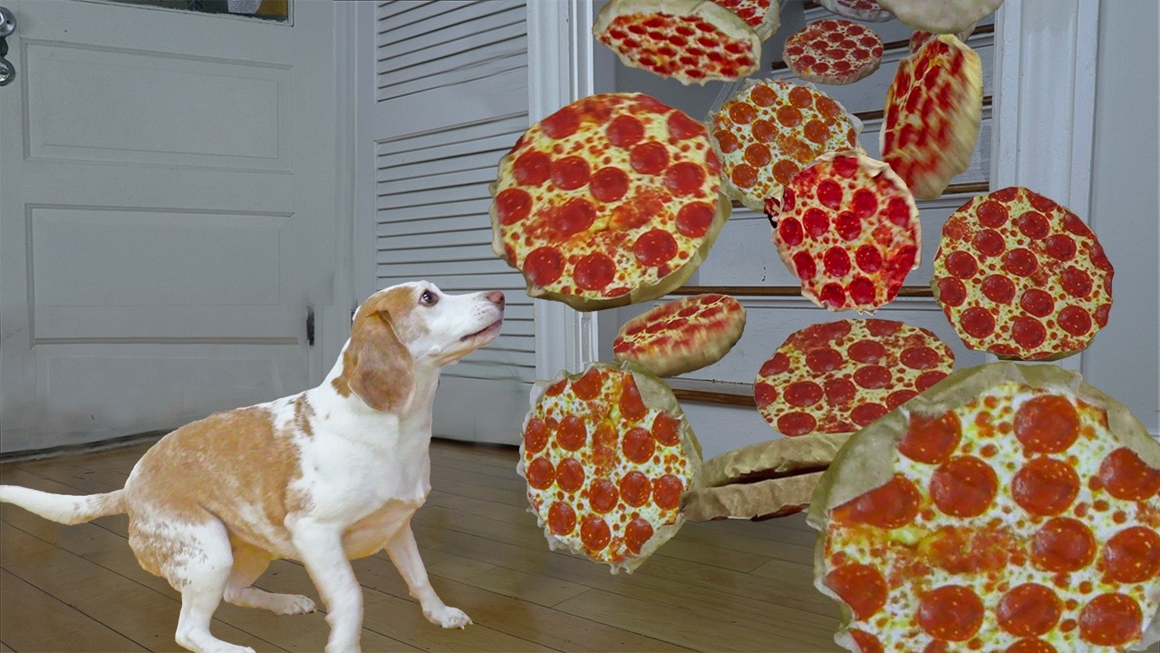 Dog Gets Pizza Surprise of a Lifetime!