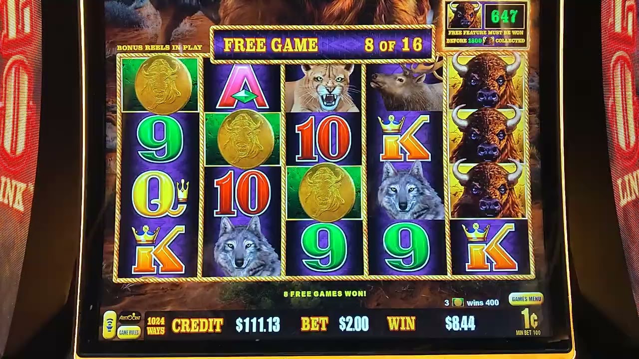 Buffalo Lightning Link! $1.00 bet