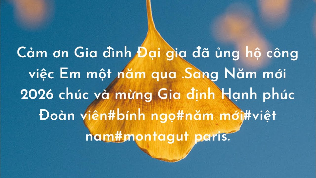 Cập nhật tình hình giao thông trên các tuyến cao tốc bắc-nam sau tết Bính Ngọ#audi boyX channel #