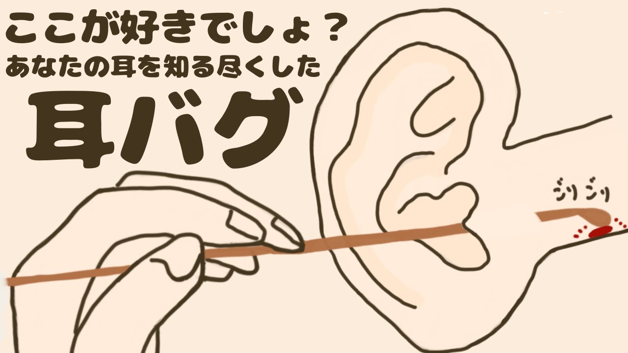 【ASMR】ここが好きでしょ？あなたの耳を知り尽くした耳バグ Ear Cleaning 【No Talking】