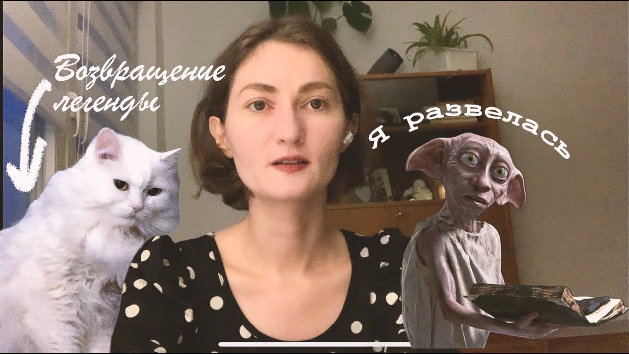 Развод. Психотерапия. Бытовые радости