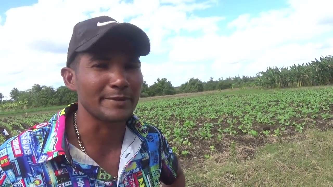 Campesinos de #Colombia redoblan esfuerzos para producir alimentos pese al bloqueo de combustibles