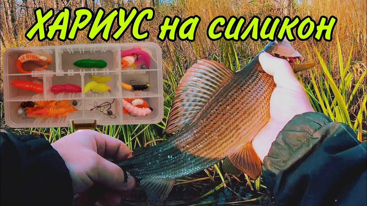 Хариус на силикон