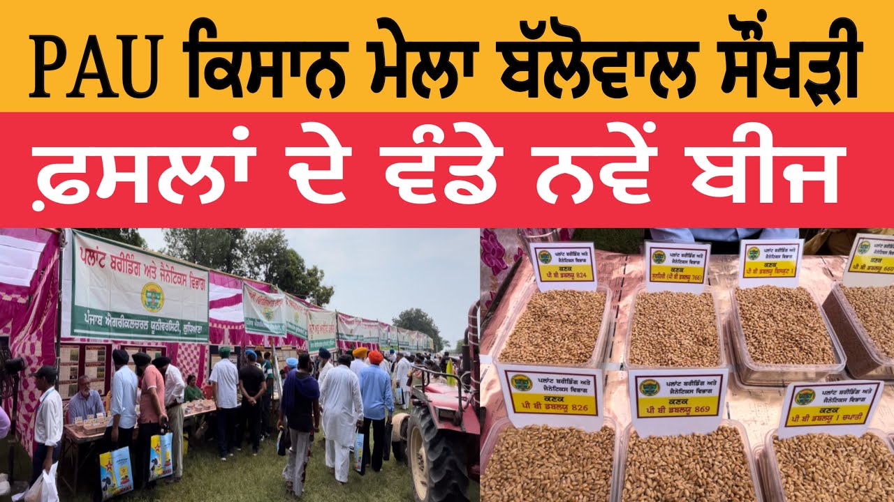 PAU ਕਿਸਾਨ ਮੇਲਾ ਬੱਲੋਵਾਲ ਸੌਂਖੜੀ | ਫ਼ਸਲਾਂ ਦੇ ਵੰਡੇ ਨਵੇਂ ਬੀਜ | PAU Kisan Mela 2024 | Kisan Mela 2024