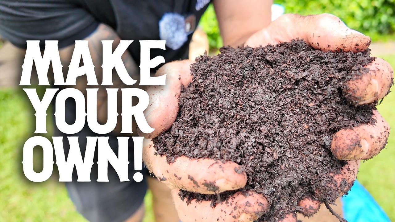 How To Make Living Soil From Scratch [Potting Mix]