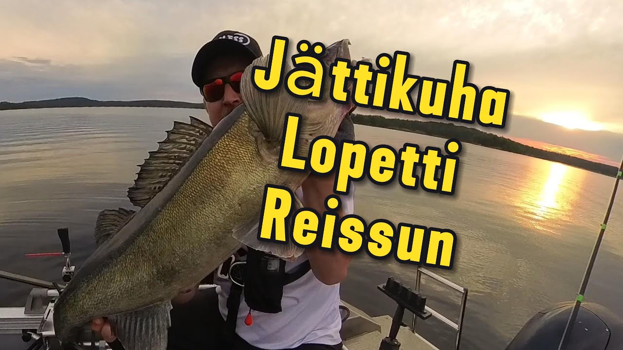 Jättikuha Pien Saimaalta