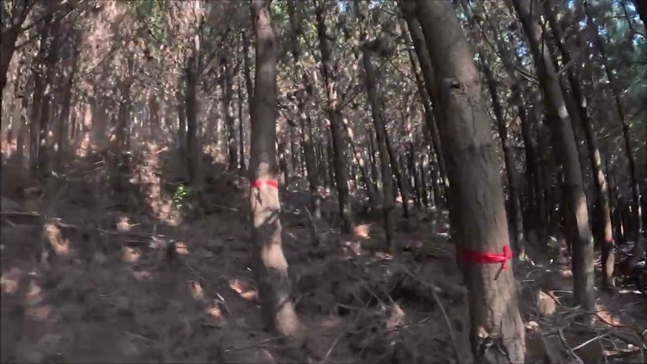 FECHA ENDURO DE VERANO COBQUECURA 2026
