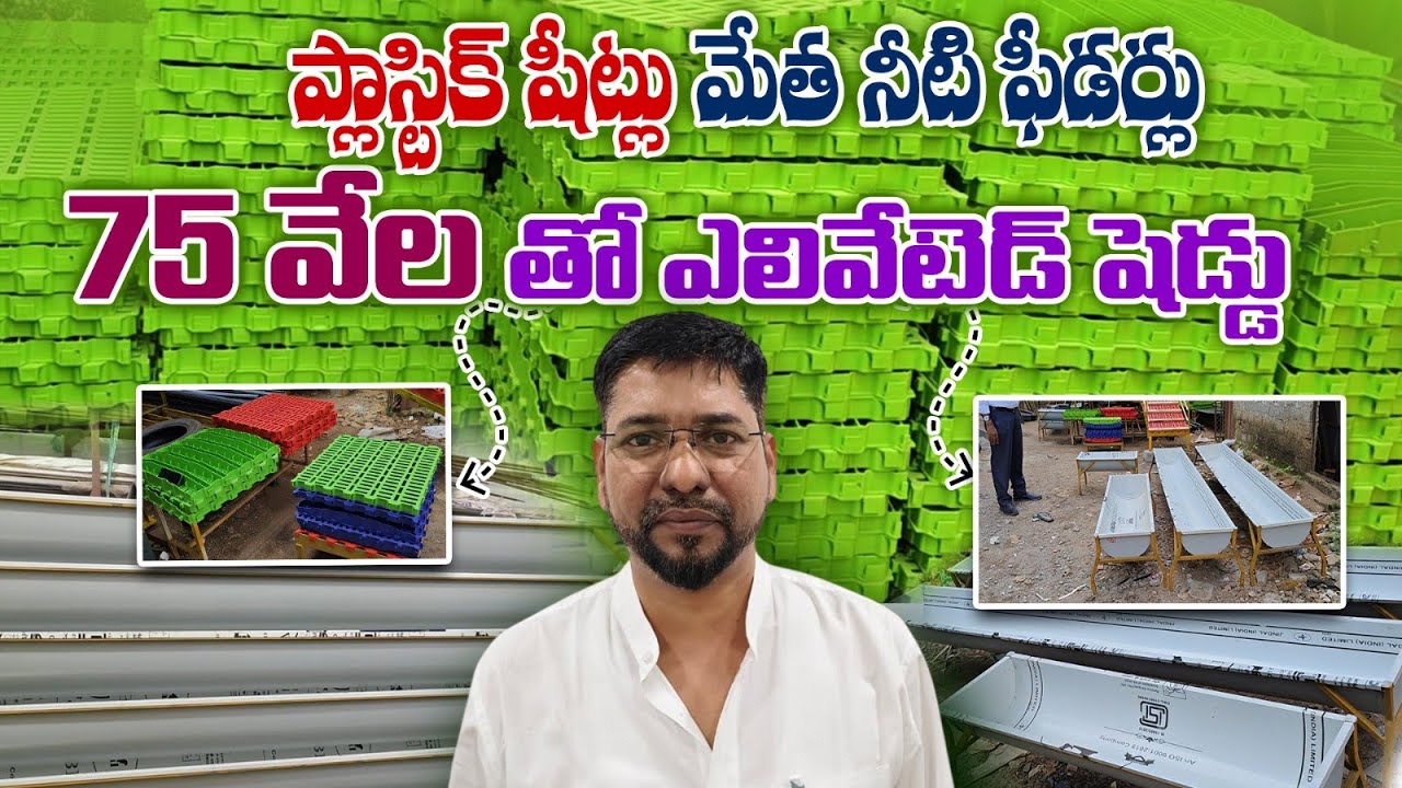 గొర్రెల మేకల షెడ్డు కు ప్లాస్టిక్ షీట్లు ఫీడర్లు అన్ని ఒకే చోట Elevated sheep Goat shead #farming