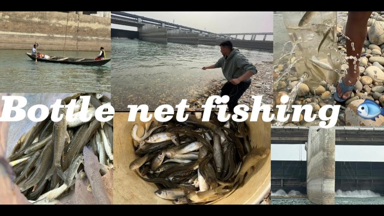 Bottle Net Fishing 🦈in Narayani river