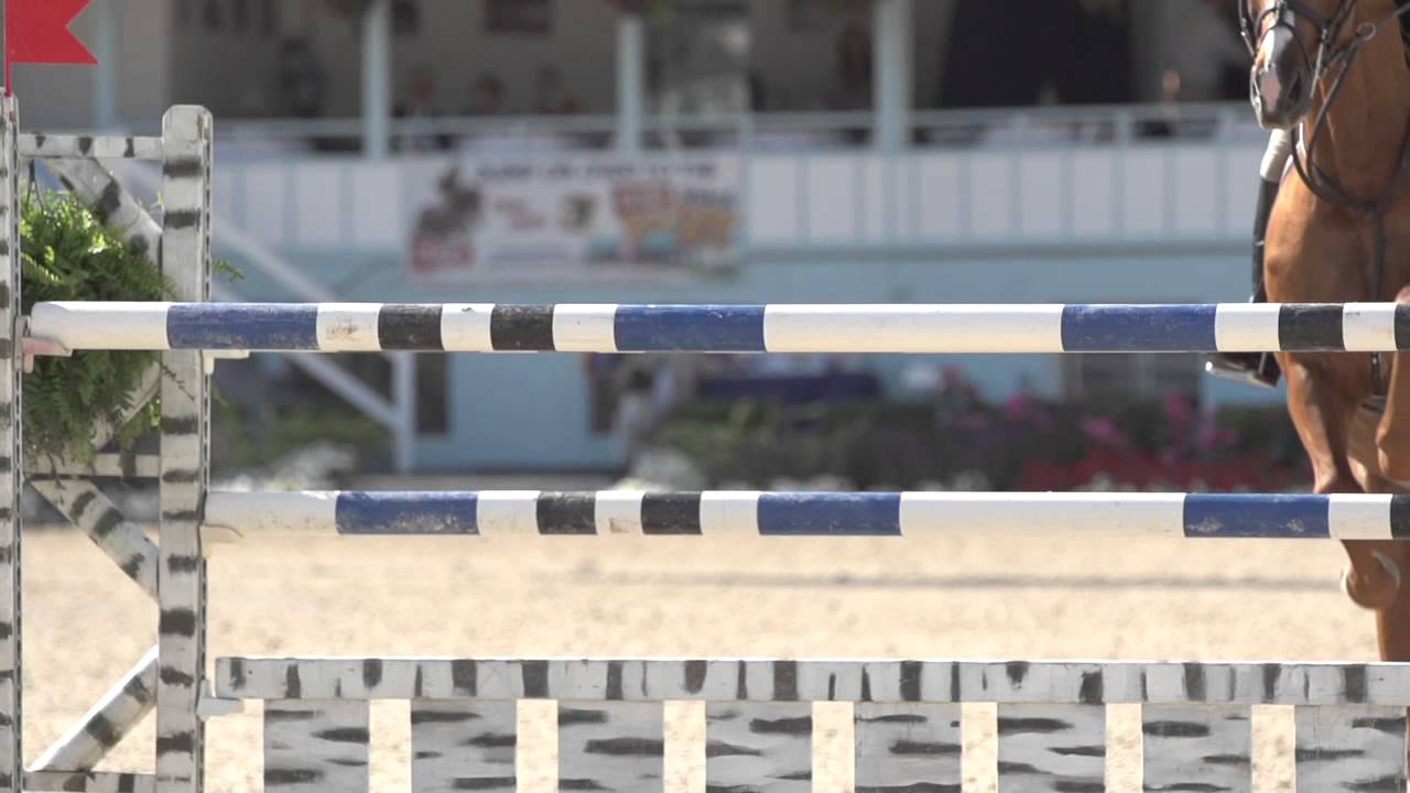 Grand Prix Show Jumping