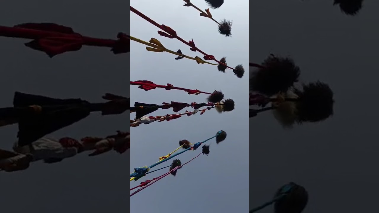 পীরে কামেল শাহ্ দাগু সিদ্ধা আল মাদারিয়া রঃ আঃ এর বাড়ি তিন হিসা মাদার বাঁশ এক সাথে।।