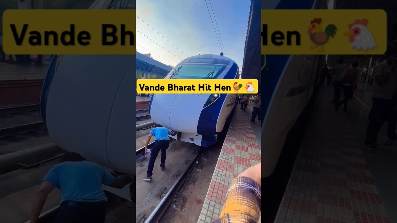 vande Bharat train 🎯 hen 🐔🐓🐔 #vandebharatexpress #train #trendingshorts #viralshort #shortstories