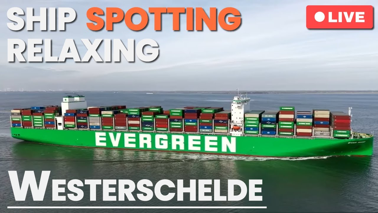 LIVE: 🚢 Relaxing Ship Spotting on the Westerschelde, NL | October 19th, 2025