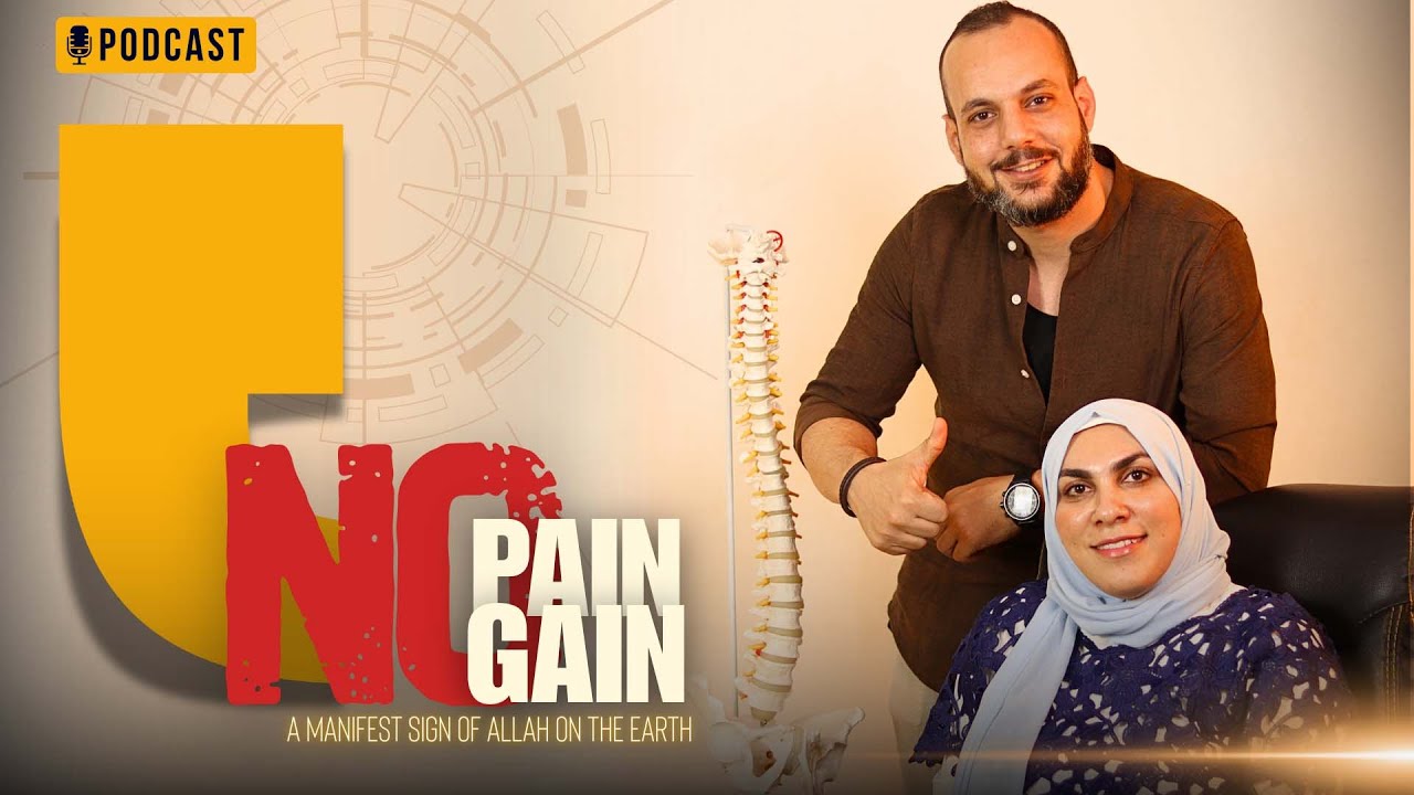 🎯 ثوابت الإستمرارية