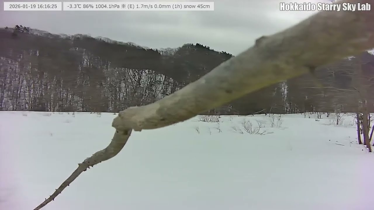 【2026/01/19-2】🌄北海道の山間風景｜四季の移ろいと静かな自然の音・野鳥の声｜Mountain View from Hokkaido