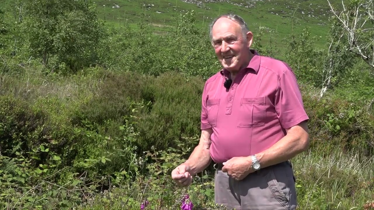 Fraughan/Frocken Picking and Mountain Memories by Jim Byrne, Ballindaggin, Co. Wexford