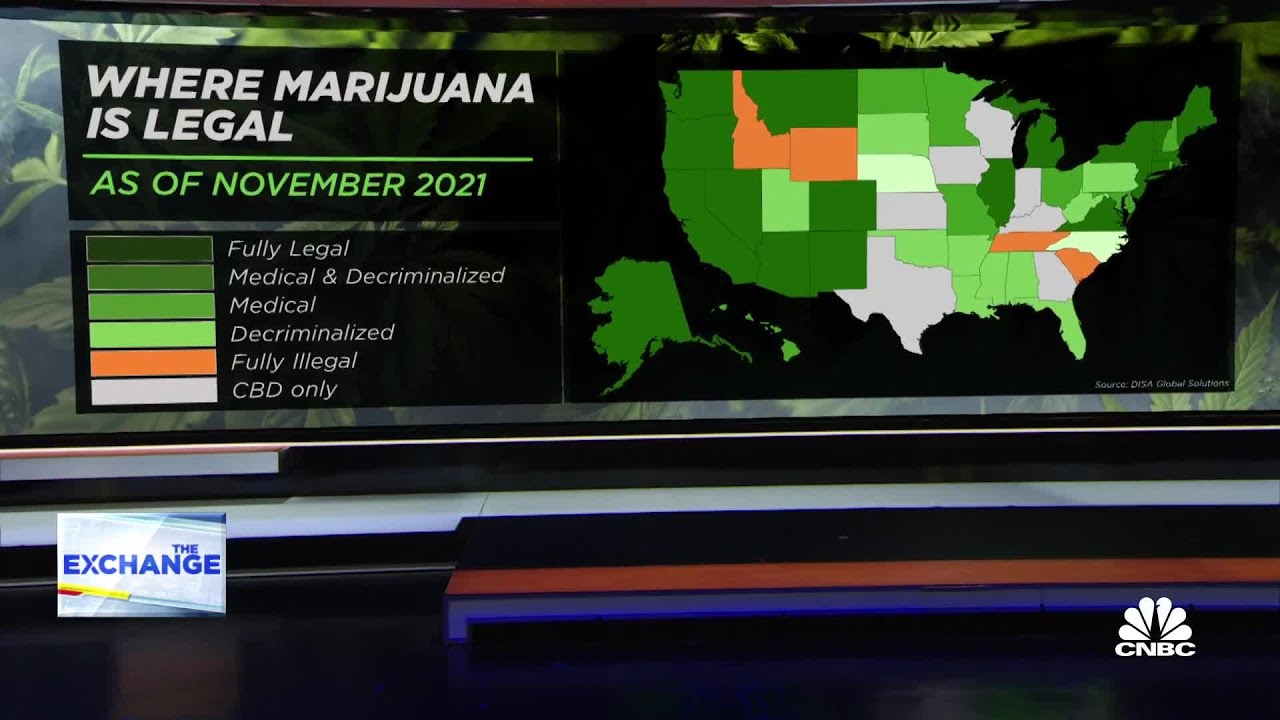 Green Thumb Industries CEO: We built the business to prosper independent of federal change